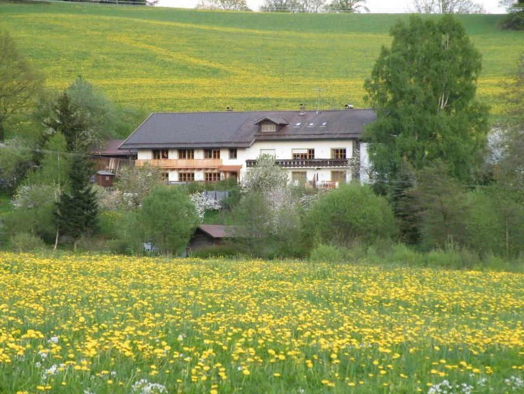 Pension Landhaus Riedelstein Drachselsried Esterno foto