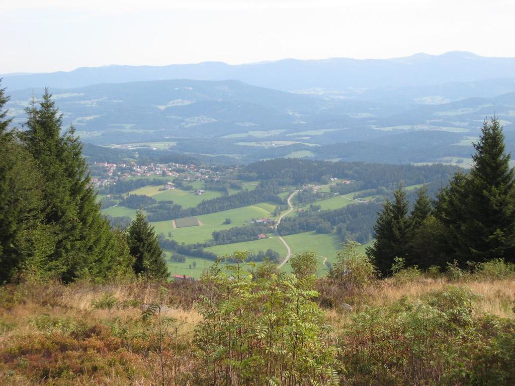 Pension Landhaus Riedelstein Drachselsried Esterno foto