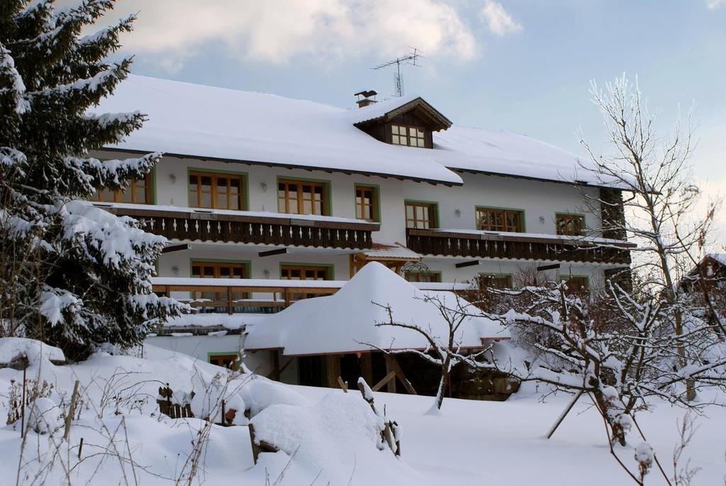 Pension Landhaus Riedelstein Drachselsried Esterno foto